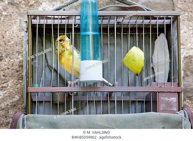 birdcage at a courtyard, Spain, Basque country, Navarra, Trinidad de Arre