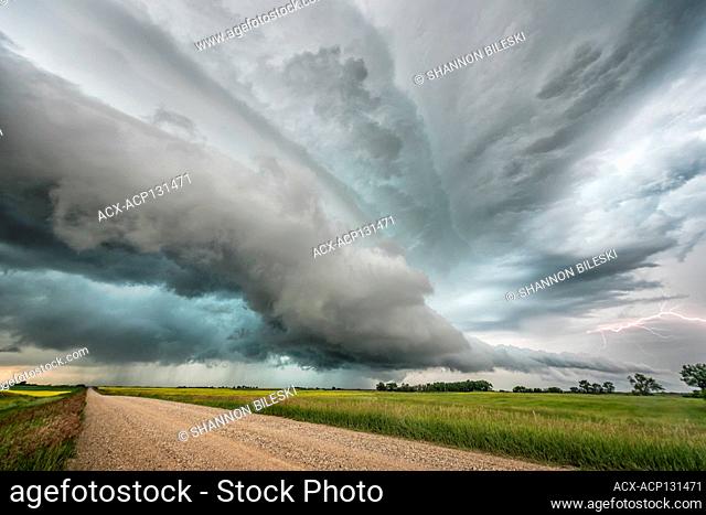 Storm with lightning over a canola field and gravel road in southern Saskatchewan Canada