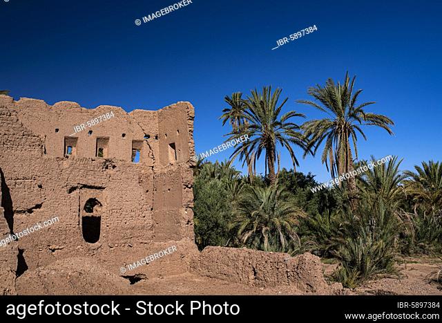 Ruins, rammed earth walls, remains of a kasbah, clay castle, Tighremt, Berber fortress in a palm grove, Skoura, Dade Valley, Southern Morocco, Morocco, Africa