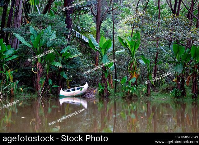 One small boat on the shore of a lake in front of a picturesque rainforest