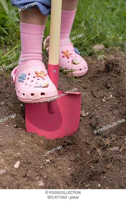 Little girl digging with a spade