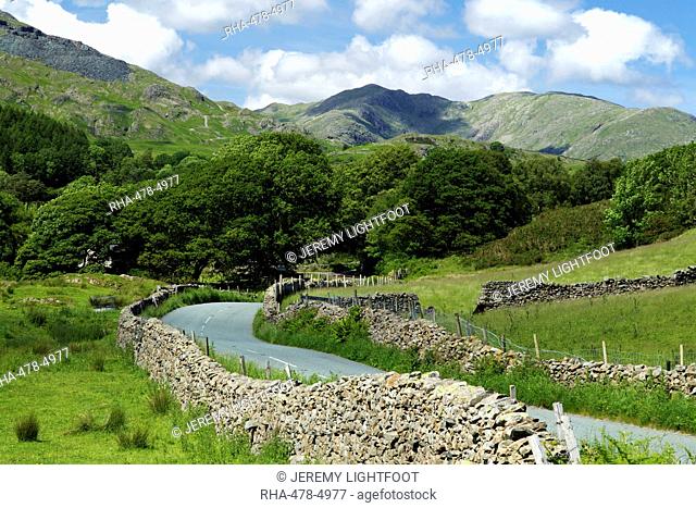 Coniston Fells, Torver, Lake District National Park, Cumbria, England, United Kingdom, Europe