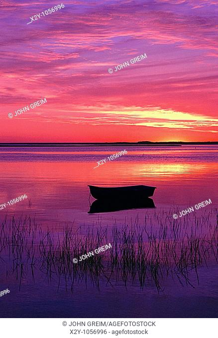 Silhouette of a row boat in harbor, Roberts Cove, East Orleans, Cape Cod, Massachusettes