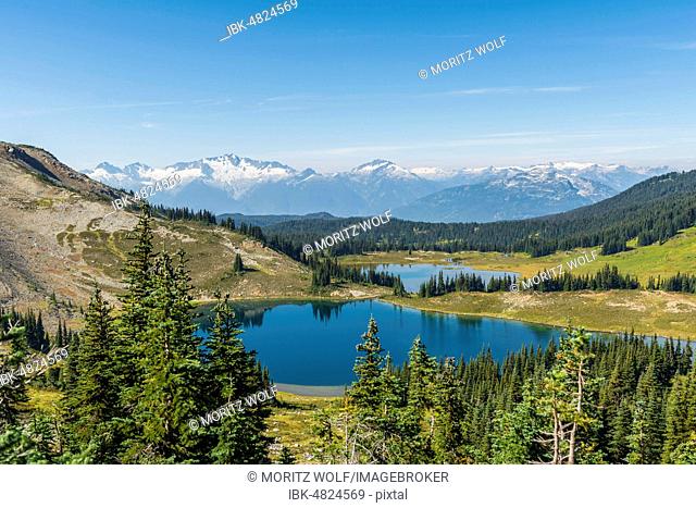 Small lakes in front of snow-capped mountains, Garibaldi Provincial Park, British Columbia, Canada