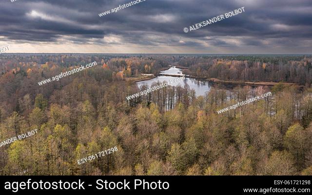 Polish part of Bialowieza Forest to south from Hajnowka with distant ponds aerial view, Podlaskie Voivodeship, Poland, Europe