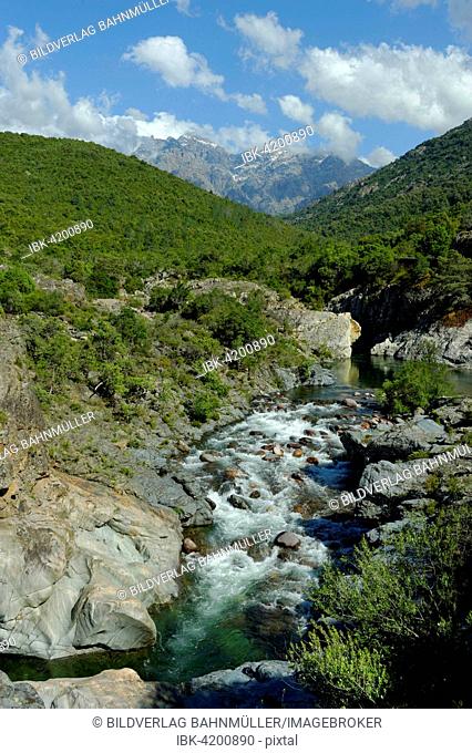 Wild riverbed of the Fangu or Fango, near Galeria, Haute-Corse, Corsica, France