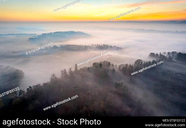 Drone view of Welzheim Forest shrouded in morning fog