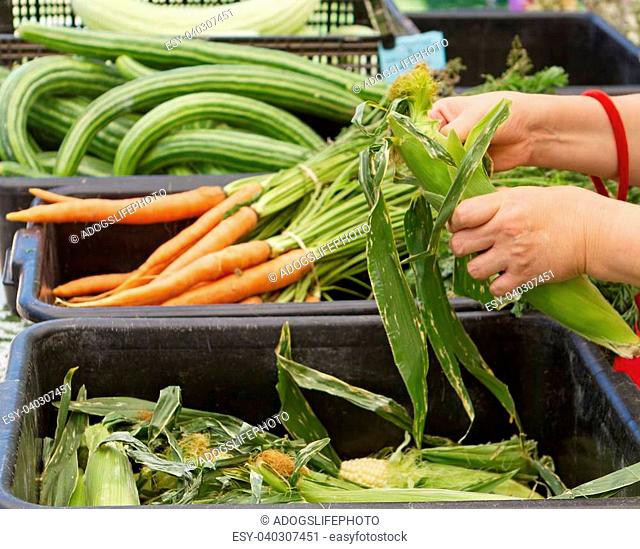 A pair of hands grabbing an ear of corn at a farmer's market