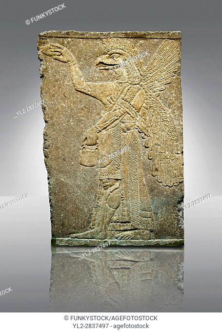 Assyrian relief sculpture panel of a protective spirit with an eagles Head from Nimrud, Iraq. The spirit is holding a symbolic fir cone and is sprinkling holy...