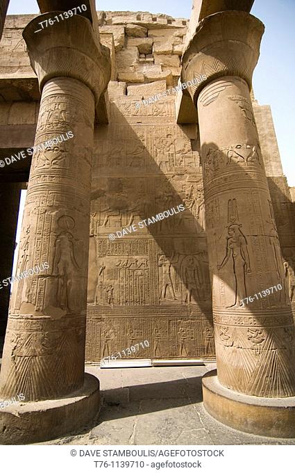 bas relief drawings in the Kom Ombo Temple in Upper Egypt