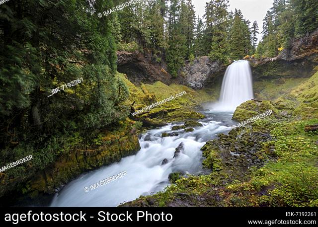 Waterfall, long exposure, Sahalie Falls, forest with moss, Oregon, USA, North America