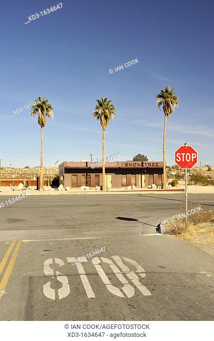 California fan palms, Washingtonia filifera, 29 Palms, Mojave Desert, California, USA