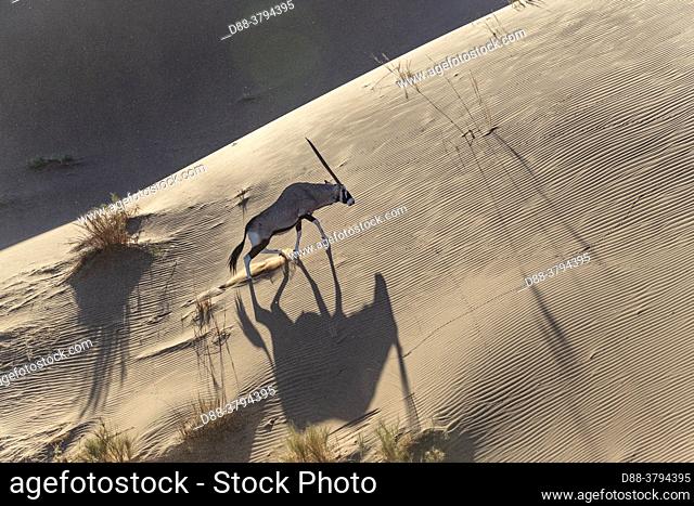 Namibia, Hardap region, Namib desert, Namib-Naukluft National Park, Namib Erg classified World Heritage by UNESCO, Sossusvlei dunes, aerial view