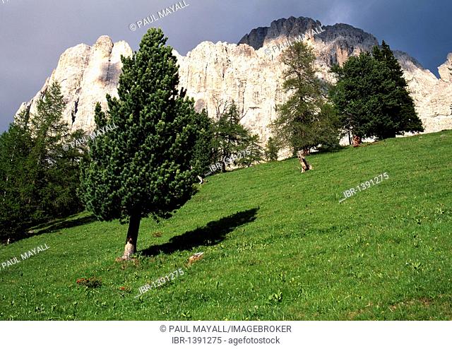Rosengarten, Catinaccio, Rose Garden Mountain, Dolomites, South Tyrol, Italy, Europe