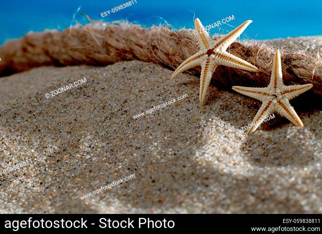 Makroaufnahme Seesterne und Seil am Strand vor azurblauem Meer