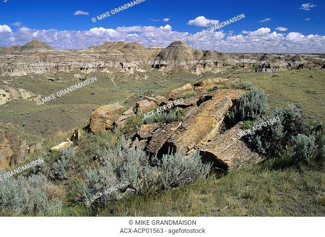 Badlands, Dinasaur Provincial Park, UNESCO World Heritage Site, Alberta, Canada