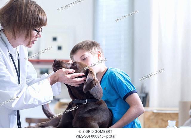 Boy at vet with dog