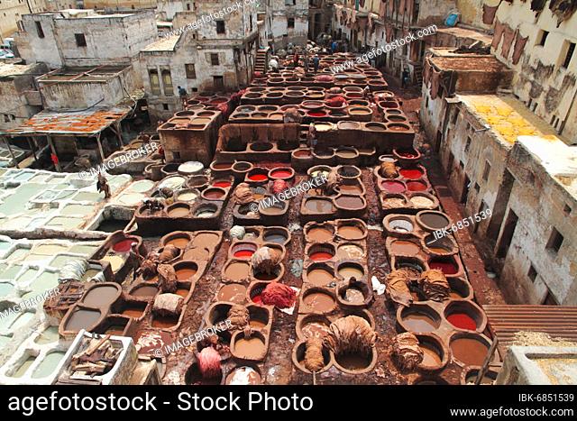 Dye basin in a leather tannery in the old town of Fez Morocco