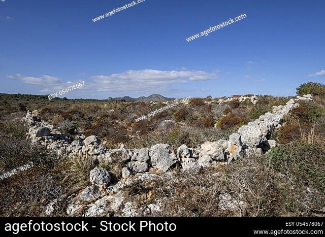 antiguo muro de piedras, Punta del Bisbe, Manacor, Mallorca, Balearic Islands, Spain