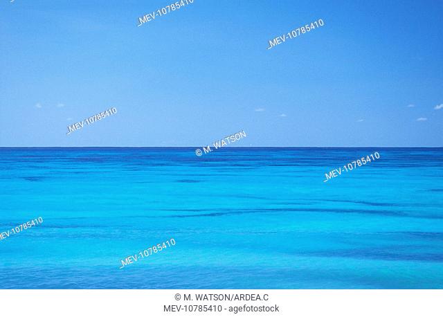 Seychelles - Assumption Island