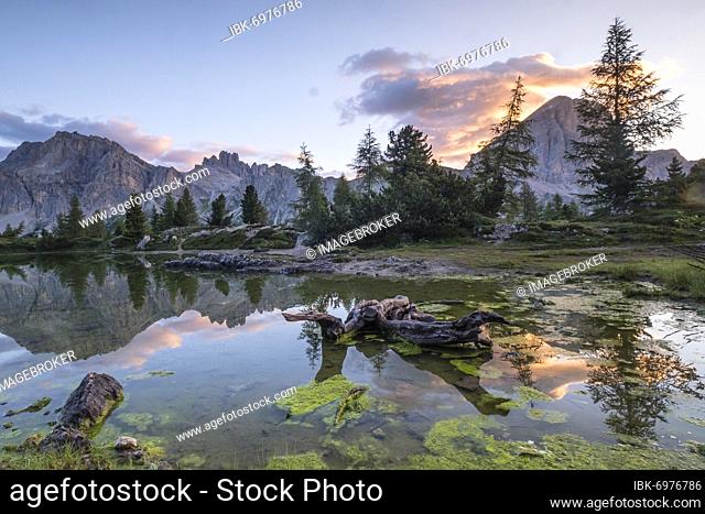 Evening mood at the lake Lago de Limides, Lagazuoi and Tofana di Rozes, with water reflection, Dolomites, Alps, Veneto, Italy, Europe