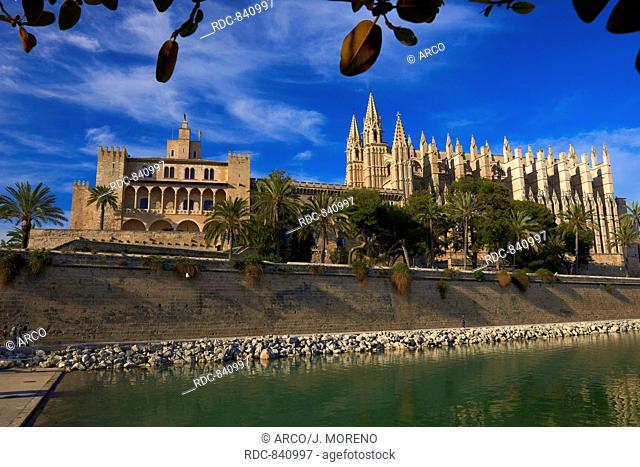 Palma de Mallorca, Cathedral, Almudaina Palace, La Seu cathedral, Palma, Majorca, Balearic Islands, Spain, europe