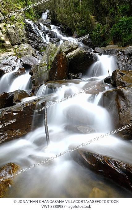 Beautiful natural water fall into the interior of andean forest in a stream called Miraflores located in the mountains. Huancayo - Perú
