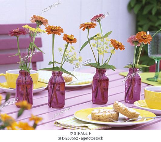 Zinnias and fennel in purple bottles on tea table