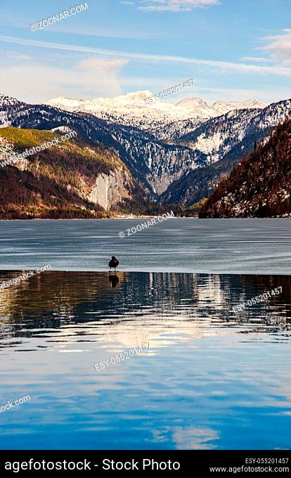 Clear Cold Landscape with blue sky at Grundlsee, Austria, winter, frozen lake. Tourist destination