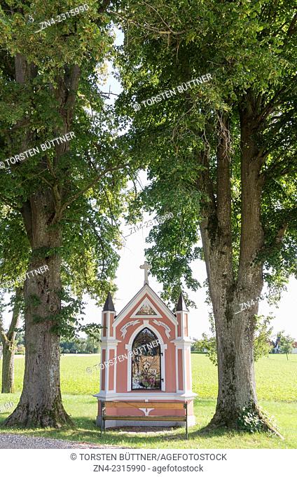 Christian Wayside Shrine between Trees in Rural Hausruck Region, Austria