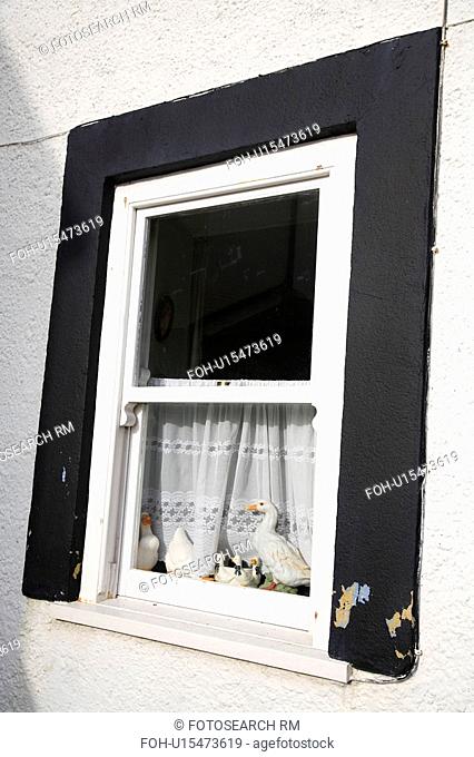 Close up of white sash window with black frame