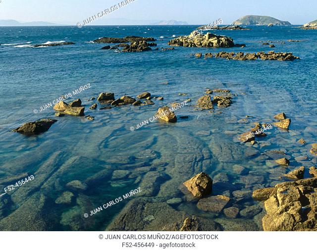Ons Island.  Islas Atlánticas National Park. Pontevedra. Spain