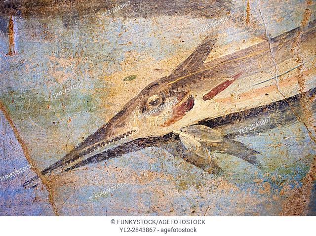 Roman Fresco detail of fishes marine life from the second quarter of the first century AD. (mosaico fauna marina da porto fluviale di san paolo)