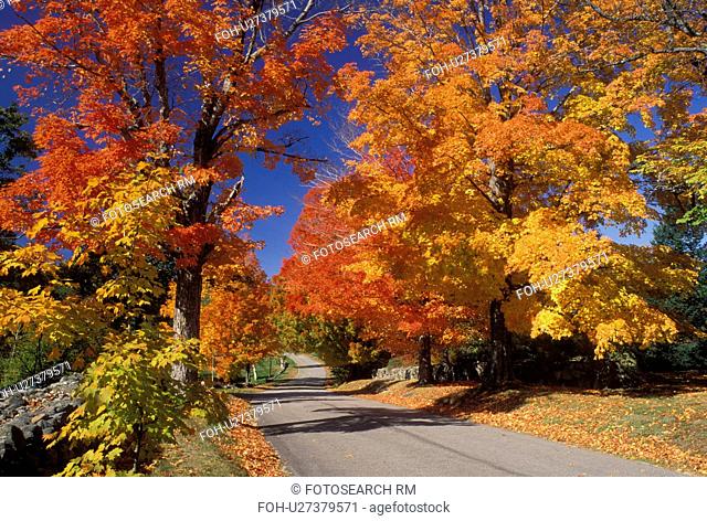 East Andover, NH, New Hampshire, Colorful fall foliage along Maple Street in East Andover in the fall