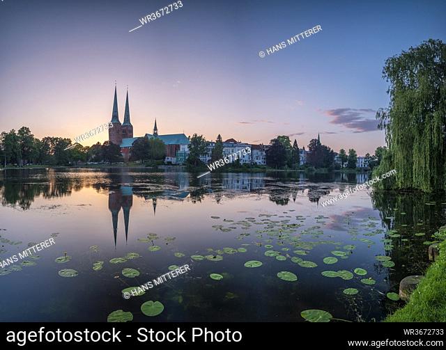 Germany, Schleswig-Holstein, Lubeck, Water lilies growing on bank of Trave at dusk with old town buildings in background