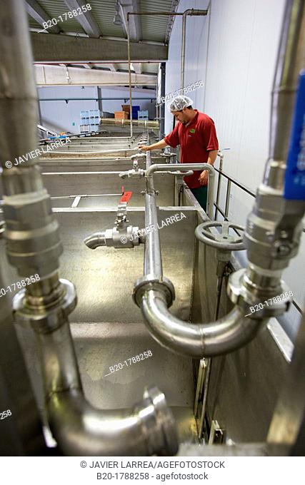 Washing tanks, Production line of canned vegetables and beans, Canning Industry, Agri-food, Logistics Center, Gutarra-Riberebro Group, Villafranca, Navarre