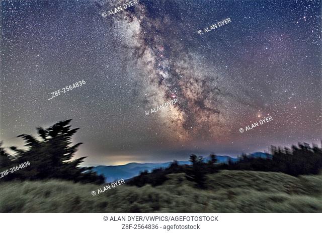 Sagittarius, Scorpius and the centre of the Galaxy area over the pine trees and sagebrush of the summit of Mt. Kobau, BC, July 29, 2014