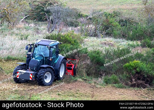 06 October 2023, Mecklenburg-Western Pomerania, Kloster: Not far from the lighthouse on the Dornbusch plateau, tractors with cutting equipment are currently...