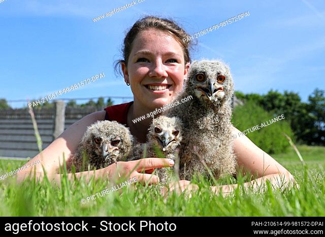 10 June 2021, Mecklenburg-Western Pomerania, Marlow: Three eagle owls - four and two weeks old - are held in the arms of employee Emma Trhal at the bird park
