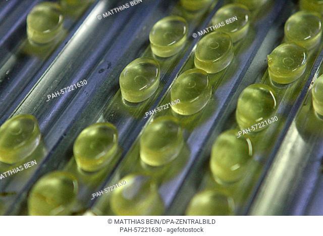 Sweets are pictured on a conveyor belt of the company Bodeta Suesswaren GmbH in Oschersleben, Germany, 23 March 2015. The company manufactured 4700 metric...