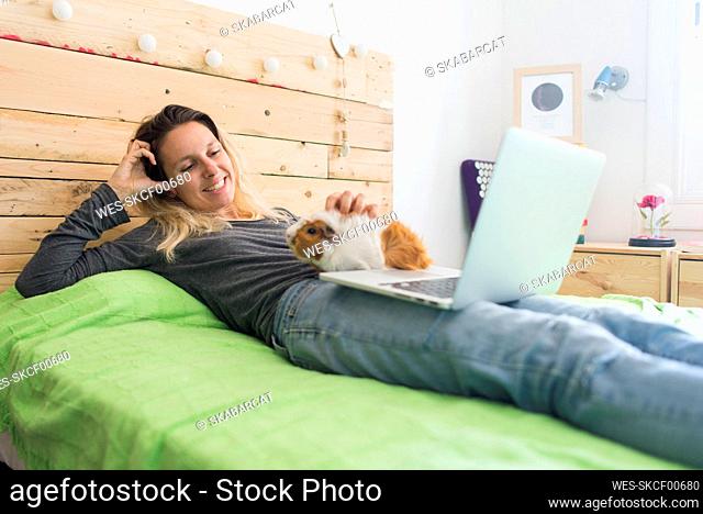 Smiling woman stroking guinea pig while lying with laptop on bed at home