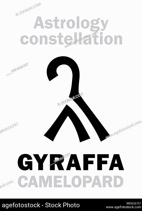 Astrology Alphabet: GIRAFFE / CAMELOPARDUS (Gyraffa Camelopardalis) ? Astronomical constellation (used in Uranography since 1598)