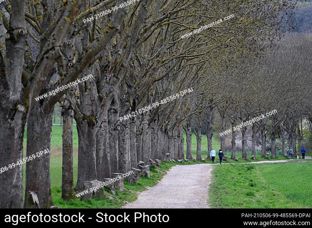 PRODUCTION - 03 May 2021, Hessen, Kassel: Strollers walk along an avenue of oaks with associated basalt stones by action artist Joseph Beuys