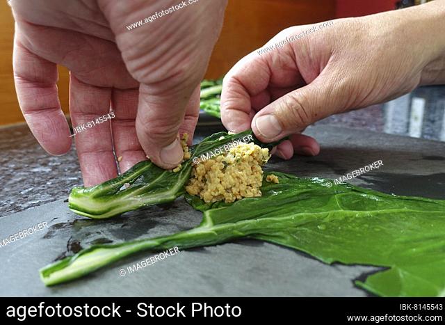 Swabian cuisine vegetarian, preparation chard runner, filling, soy roll in chard leaf, man hands, Germany, Europe