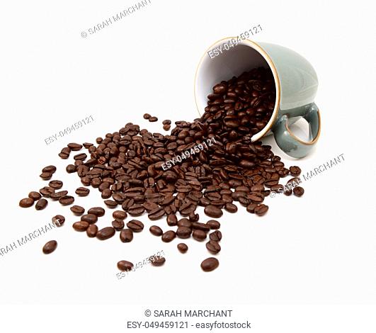 Aromatic roasted coffee beans pouring out from a green china mug on a white background