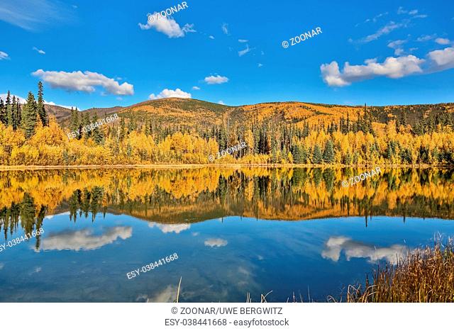 Panoramic view of a clear lake with reflections in fall, Chena River State Park, Alaska