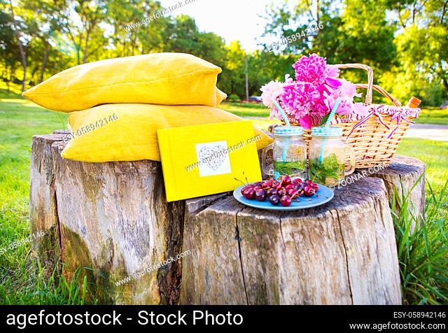 Bright and delicious picnic in nature-a healthy day