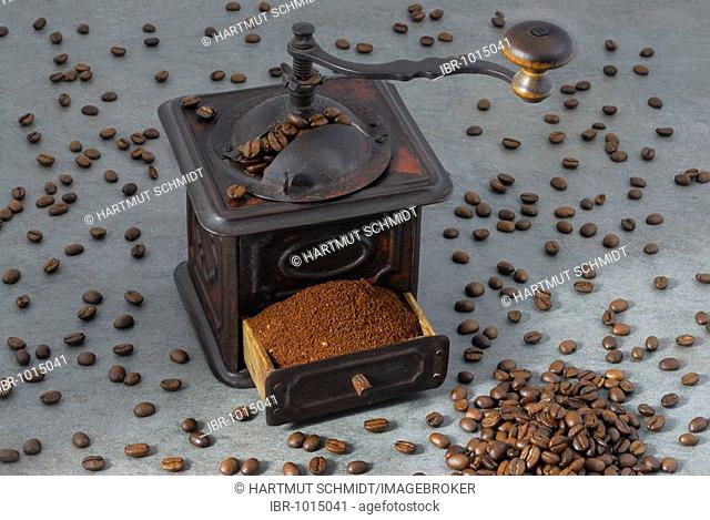 Antique metal coffee mill with a drawer full of ground coffee, standing amidst scattered coffee beans