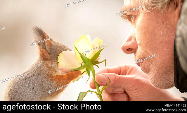 man is holding a rose and red squirrel smelling it