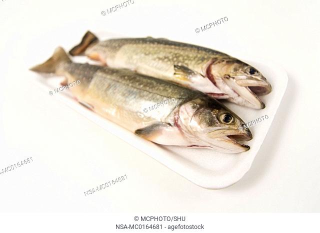 arctic char ready to cook in a polystyrene packing